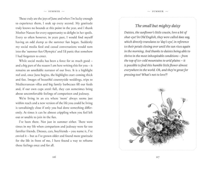 The Evergreen Journal (Lydia Elise Millen), Gebundenes Buch