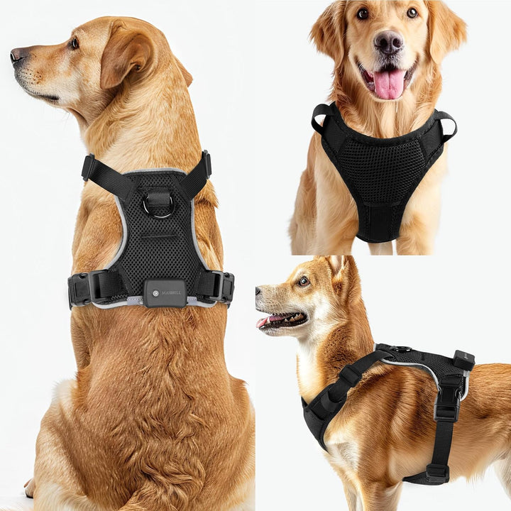 MASBRILL Hundegeschirr Leuchtend, LED Hundegeschirr Aufladbar & Einstellbar für Welpen Kleiner Mittl