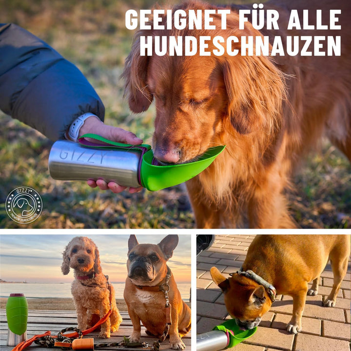 GIZZY® Trinkflasche Hunde für unterwegs - auslaufsicher &amp; robust aus Edelstahl, in 2 Grössen inkl. w