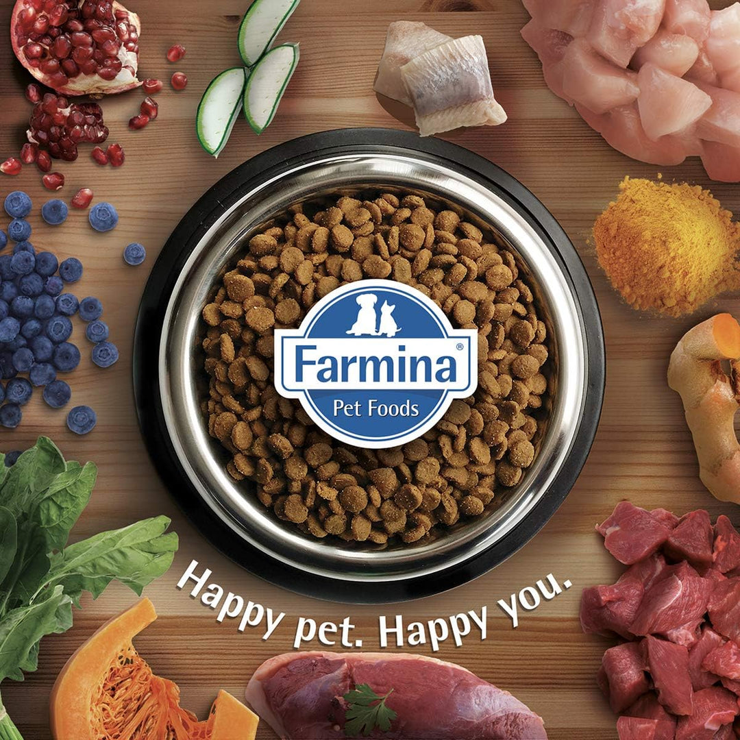 Farmina N&D Quinoa Adult Pellets Hundefutter (Trockenfutter, mit hochwertigen Vitaminen und natürlic