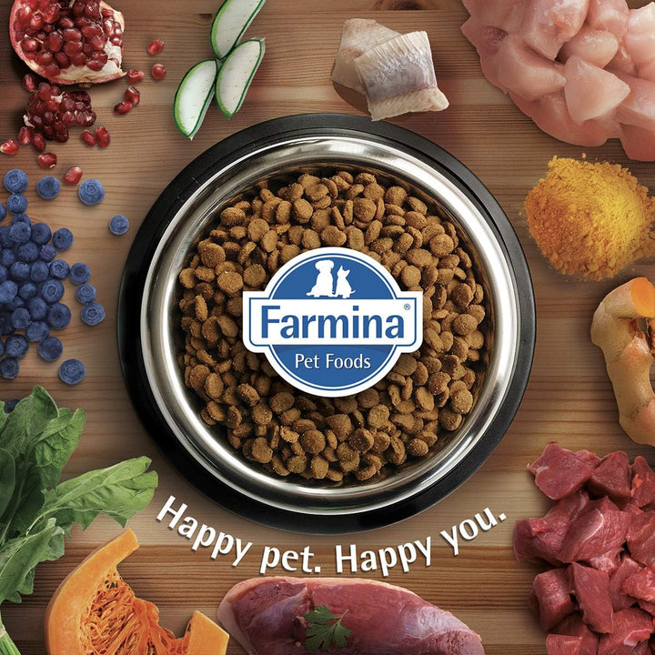 Farmina N&D Quinoa Adult Pellets Hundefutter (Trockenfutter, mit hochwertigen Vitaminen und natürlic