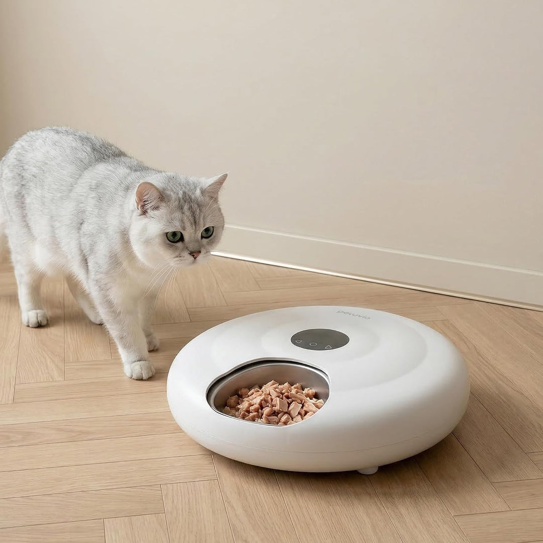 Nube Futterautomat Katze Nassfutter, Mit Kuehlung, Wi-Fi Smart App Und Manuelle Steuerung, 6 Kammern