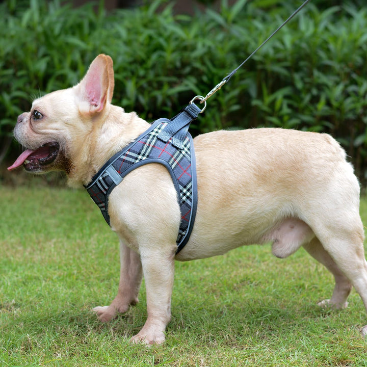 Suredoo Hundegeschirr Kleine Hunde mit Leine, Anti Zug Geschirr Reflektierend Atmungsaktiv Brustgesc