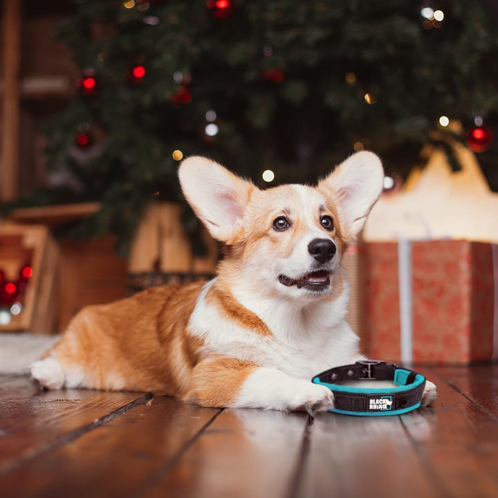Black Rhino - Das Comfort Halsband Super Weiches Neopren Gepostertes Hundehalsband für alle Hunderas