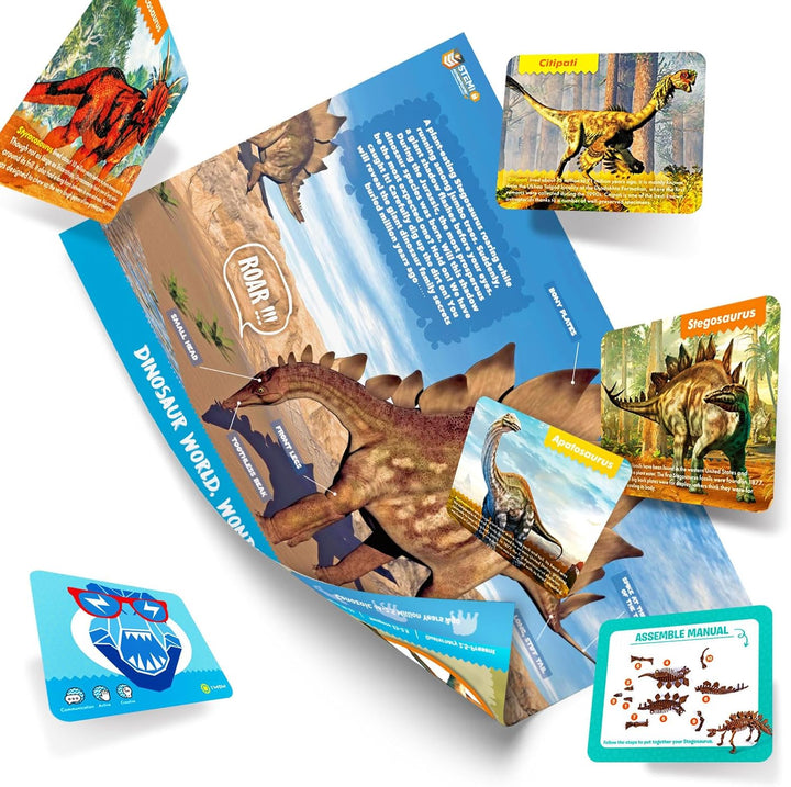 EGGBOX Dinosaurier Skelett Ausgrabungsset für Kinder, 2-in-1 Stegosaurus Dino Dig & Malset, Dinosaur