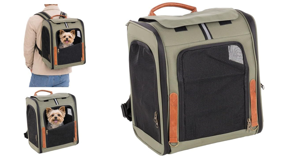 Hunderucksack - Rucksack Yoda Grün – 34x26x40cm – Polyester – Öffnungen vorn/Oben/seitlich – Rahmen