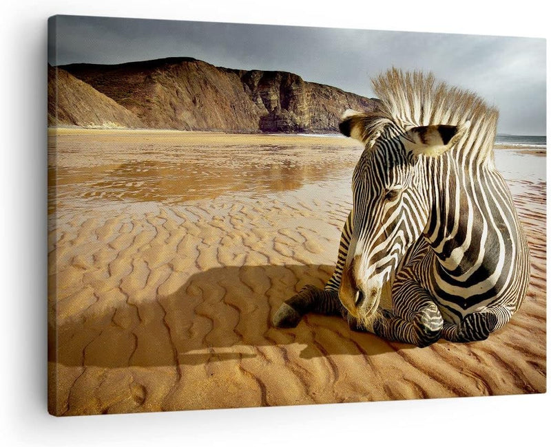 ARTTOR Bilder auf Leinwand Zebra Strand Landschaft Leinwandbild 70x50cm Wandbilder Dekoration Wohnzi