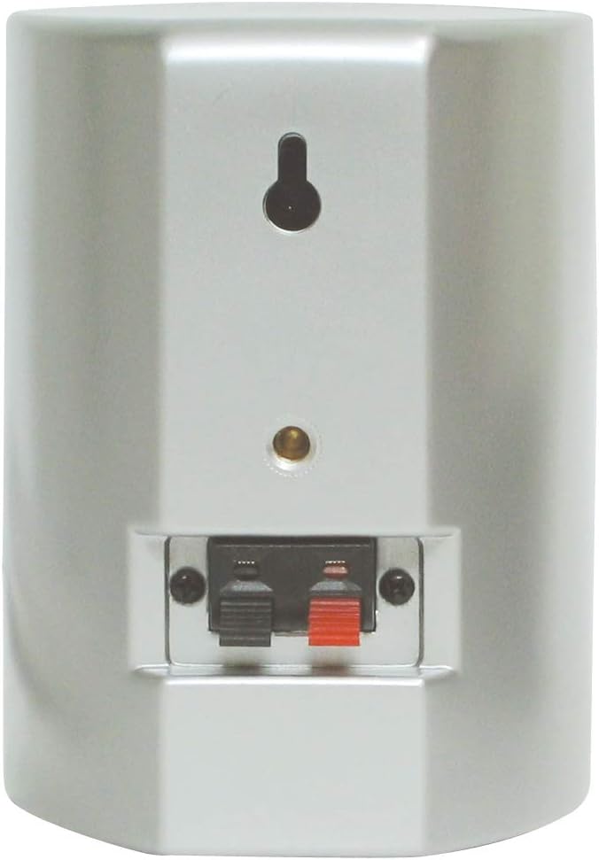 Dynavox AS-301 Satelliten-Lautsprecher, Paar, für Heimkino oder Büro, kompakte Surround-Box, Wandmon