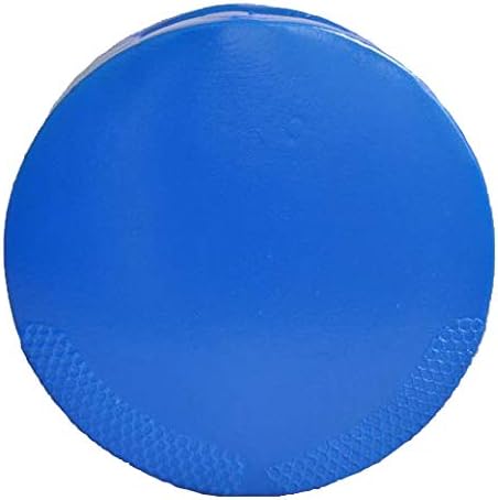 BAY Doppel-Handpratze aus Schaumstoff für Kampfsport, Beidseitig Nutzbar mit 20 cm Durchmesser, Blau