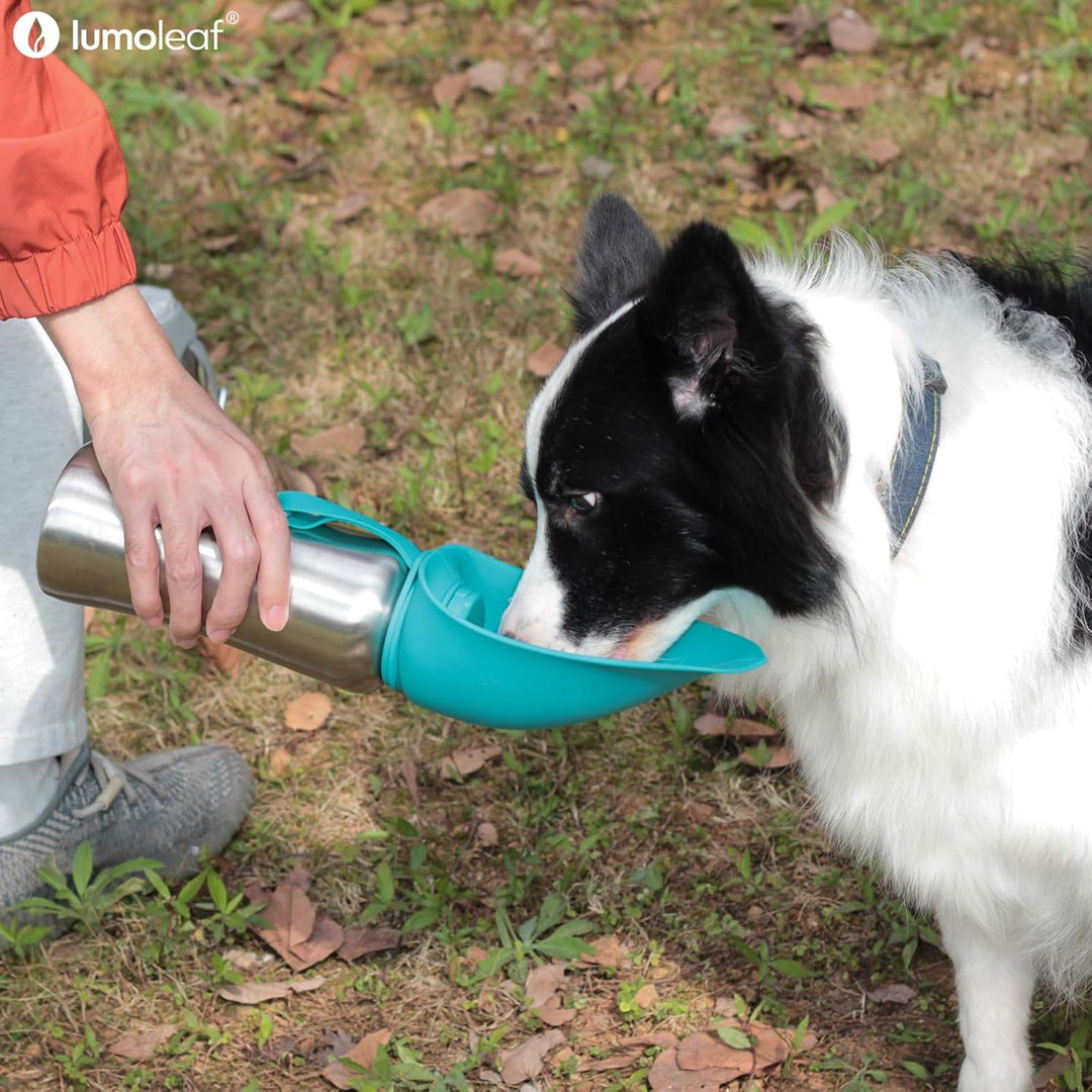 LumoLeaf Hundetrinkflasche für unterwegs, 800ml Edelstahl Trinkflasche Hund, Tragbare Haustier Wasse