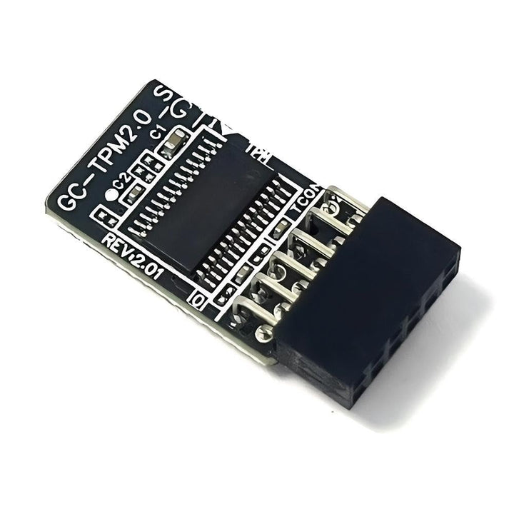 JINTAI TPM 2.0-Modul TPM LPC 12-Pin-Modul Ersatz für Gigabyte-Motherboard GC-TPM2.0_S (12-Pin-1) für
