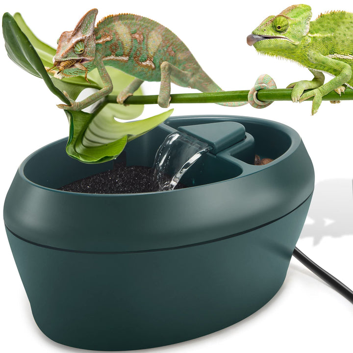 NEPTONION Reptil Chamäleon Kantine mit Snacks Trog, Trinkbrunnen Wassertropfe für Amphibien, Insekte