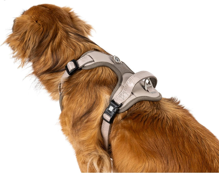 Max & Molly Sport Hundegeschirr Sehr Grosse Hunde mit Gotcha! Smart ID Sicherheitsanhänger, Matrix 2