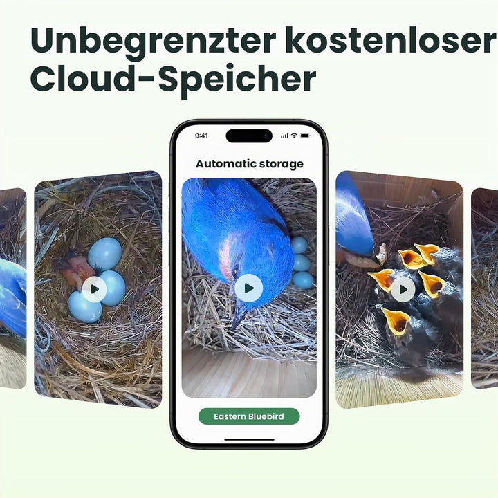 Birdfy Vogelhaus mit Kamera Solar, 1080P FHD Live-View, Echtzeitbeobachtung des Nestbaus und der Bru