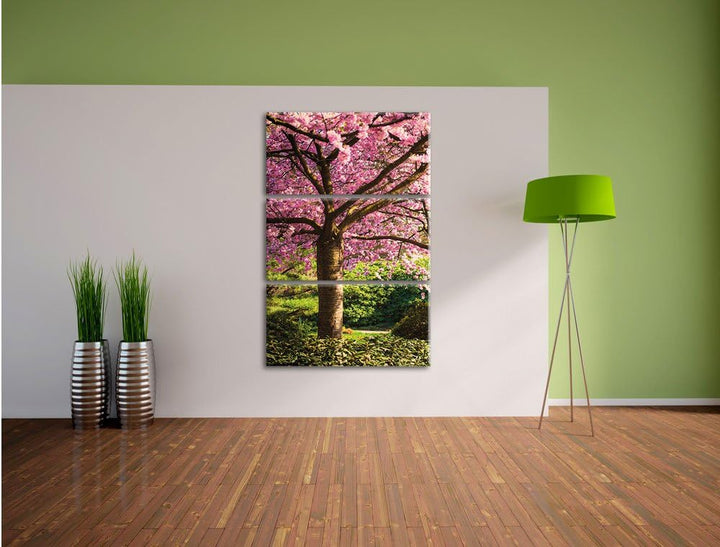 Pixxprint Rosa blühende Kirschbäume als Leinwandbild/Grösse: 3 Teilig (120x80) cm/Wandbild/Kunstdruc