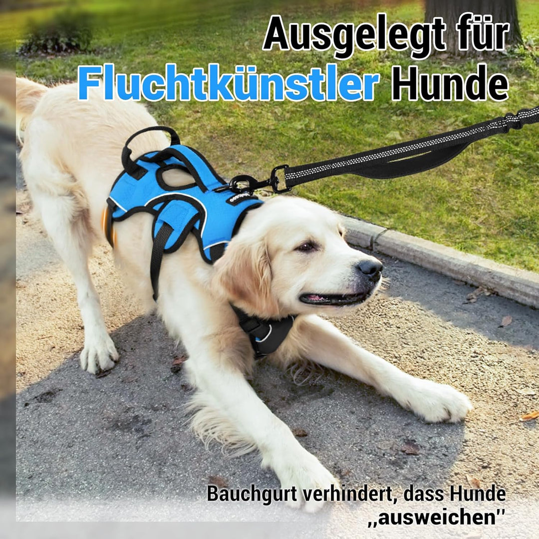 rabbitgoo Ausbruchsicheres Hundegeschirr Grosse Hunde mit Griff, Anti Zug Sicherheitsgeschirr Hund A