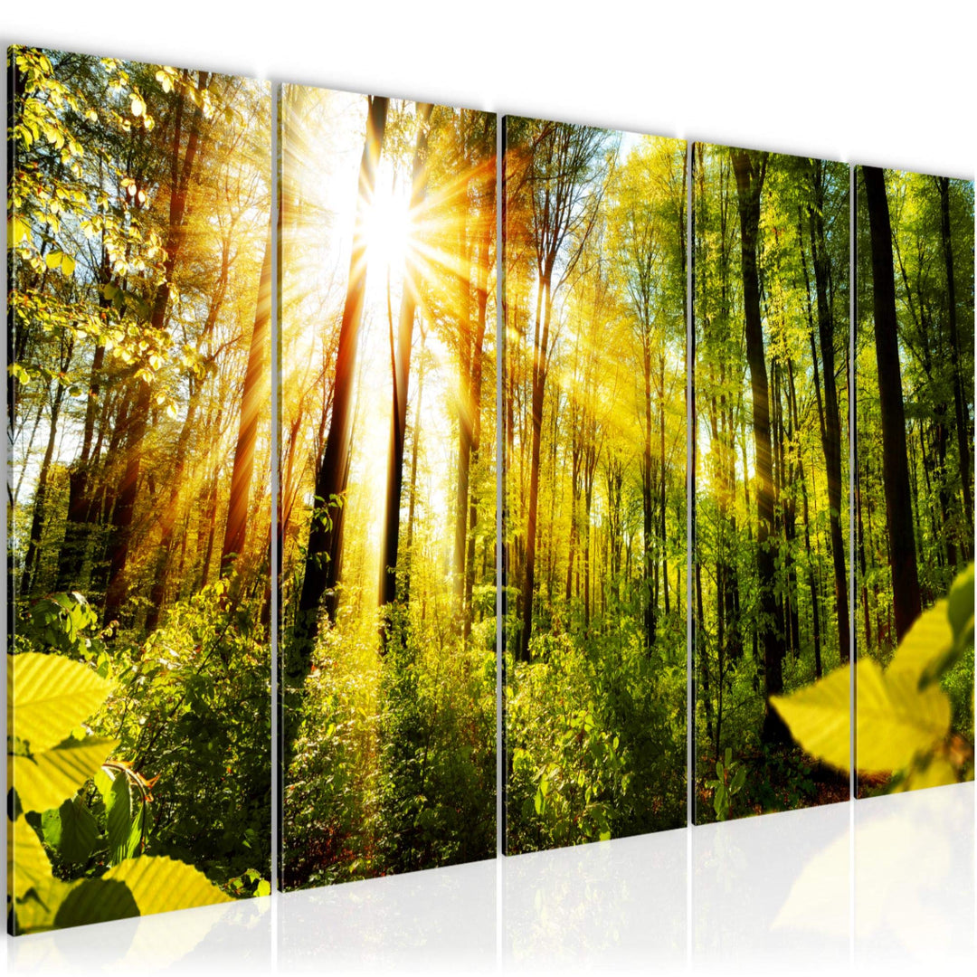 Runa Art Bild Wald Landschaft Wandbilder auf Vlies Leinwand 5 Teilig Wanddekoration Schlafzimmer Woh