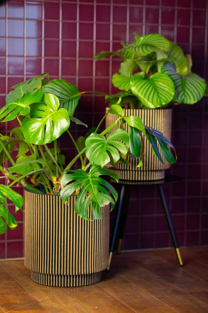 Capi Europe - Gefäss Zylinder Groove NL - 41x43 - Elfenbein - Öffnung Ø36 - Blumentopf für den Innen