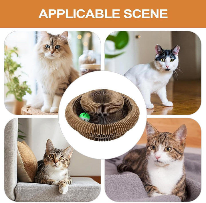 Kratzkokon, Katzenwirbel Für Grosse Katzen, Tragbare Pet Cat Scratch Board, Faltbar Interaktive Krat