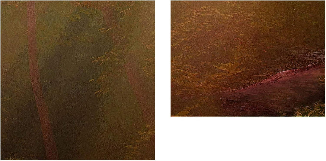 Runa Art Bild Wald Landschaft Wandbilder auf Vlies Leinwand 5 Teilig Wanddekoration Schlafzimmer Woh