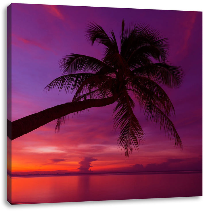 Pixxprint Palme am Meer mit Sonnenuntergang als Leinwandbild | Grösse: 70x70 cm | Wandbild | Kunstdr