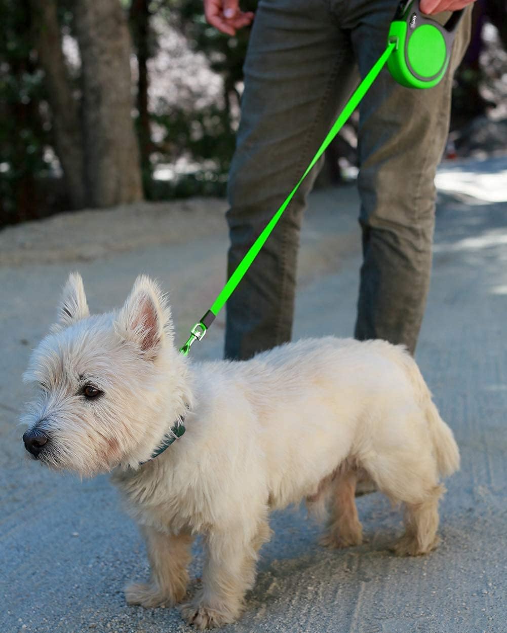 Taglory Hundeleine Rollleinen für Kleine und Mittelgrosse Hunde bis 20kg, Hundeleine Ausziehbar mit