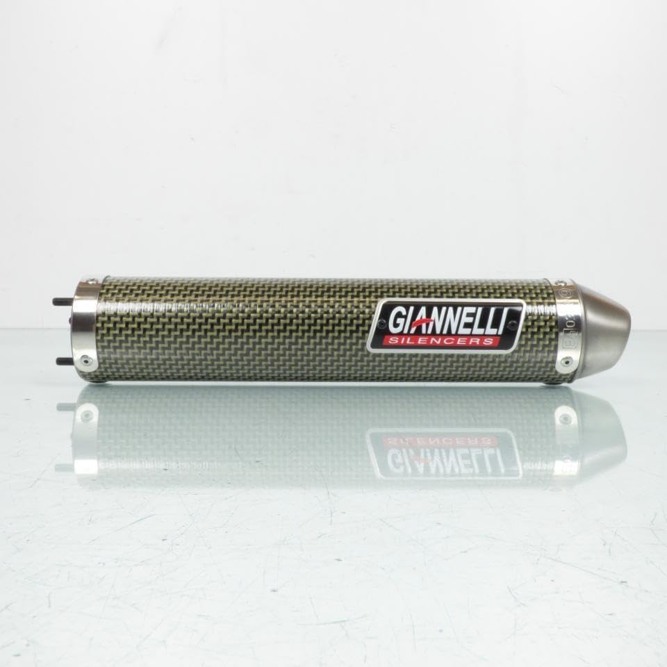 Auspuffschalldämpfer Giannelli für Motorrad Aprilia 125 RS Extrema 1995 bis 1998