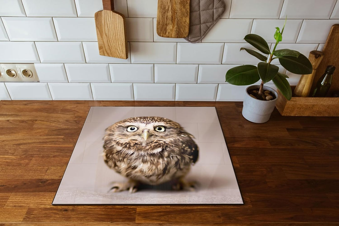Nachteule mit Blick Herdabdeckplatte & Spritzschutz aus Echtglas | Für Herd-Kochfelder | 60x52 cm