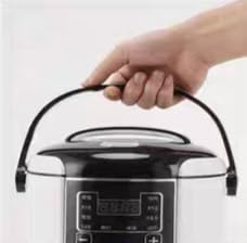 HEEPDD Reiskocher für Auto, 2L Kapazität, Warmhaltefunktion, Kompakt und Tragbar, 24V, für 2-5 Perso