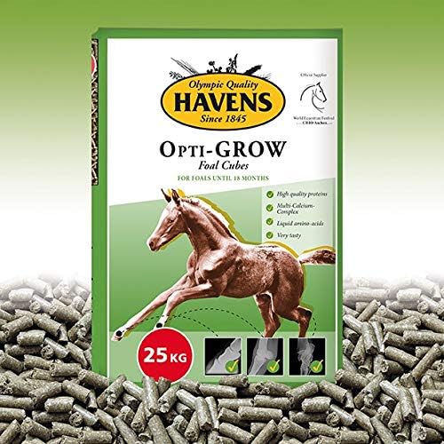 Havens Fohlen-Aufzucht 25 kg
