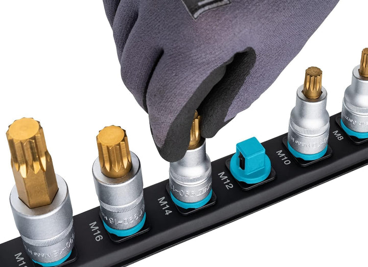HAZET Steckleiste 900E-SR/8 | magnetische Unterseite mit 8 Steckplätzen, Antrieb: Vierkant 12,5 mm (