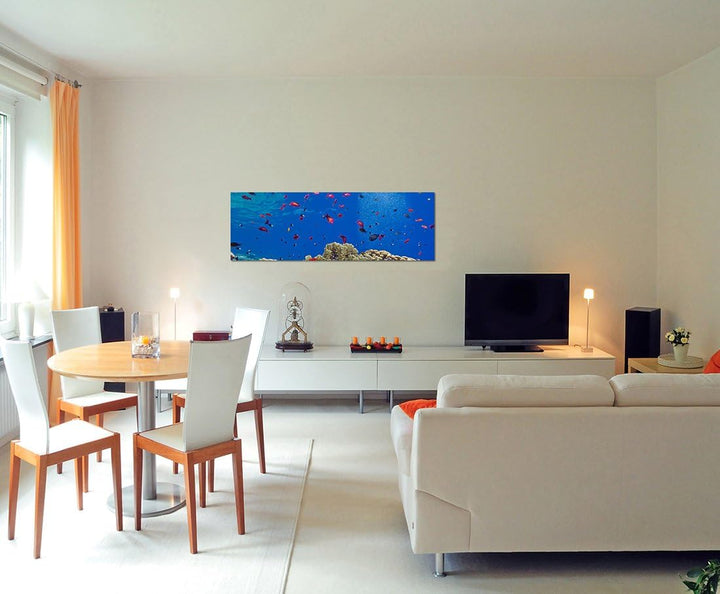 Paul Sinus Art Panoramabild auf Leinwand und Keilrahmen 120x40cm Meer Unterwasser Riff Korallen Fisc