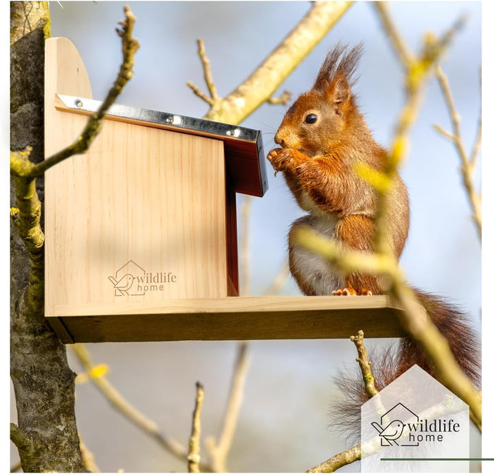WILDLIFE HOME Eichhörnchen Futterhaus mit Metalldach I Futterstation aus verschraubtem Massiv-Holz I