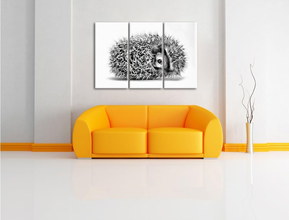 Pixxprint Kleiner niedlicher Baby Igel als Leinwandbild/Grösse: 3 Teilig (120x80) cm/Wandbild/Kunstd