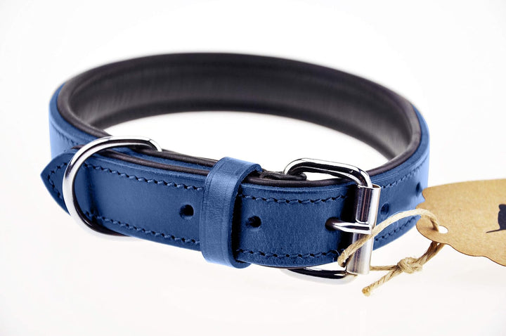 Schnüffelfreunde Halsband für Hunde aus Leder, Hundehalsband für den grossen, mittleren und kleinen