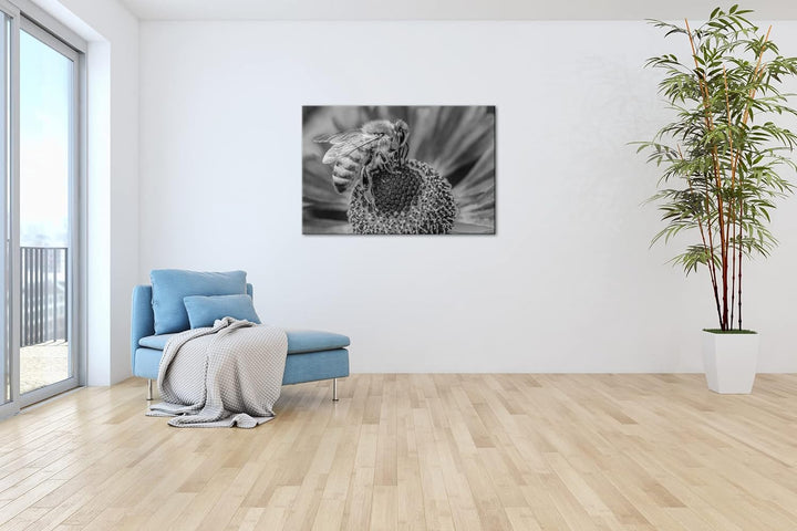 deyoli Biene beim Pollen sammeln Effekt: Schwarz&Weiss Format: 80x60 als Leinwandbild, Motiv fertig