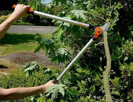 Podadera Expert 60 Cm Fr