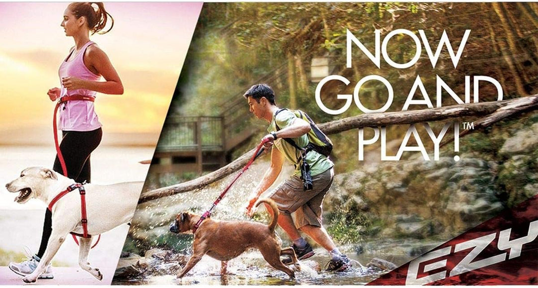 EzyDog Hundegeschirr Auto mit Sicherheitsgurt, Brustgeschirr Hund, Sicherheitsgeschirr Hund, 'Chest