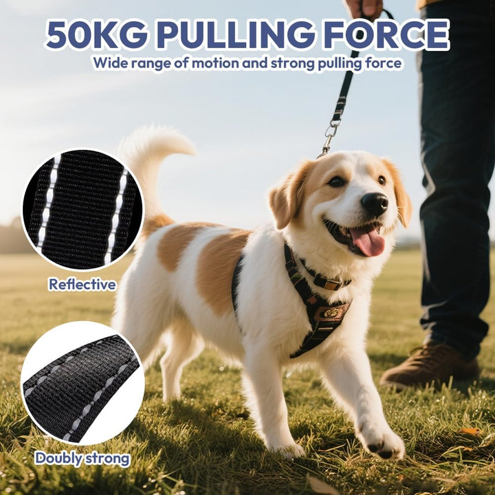 Hundeleine 8m, Einziehbare Hundeleine, Rollleine für Hunde, Rollleine mit Kotbeutelhalter, mit Bissf