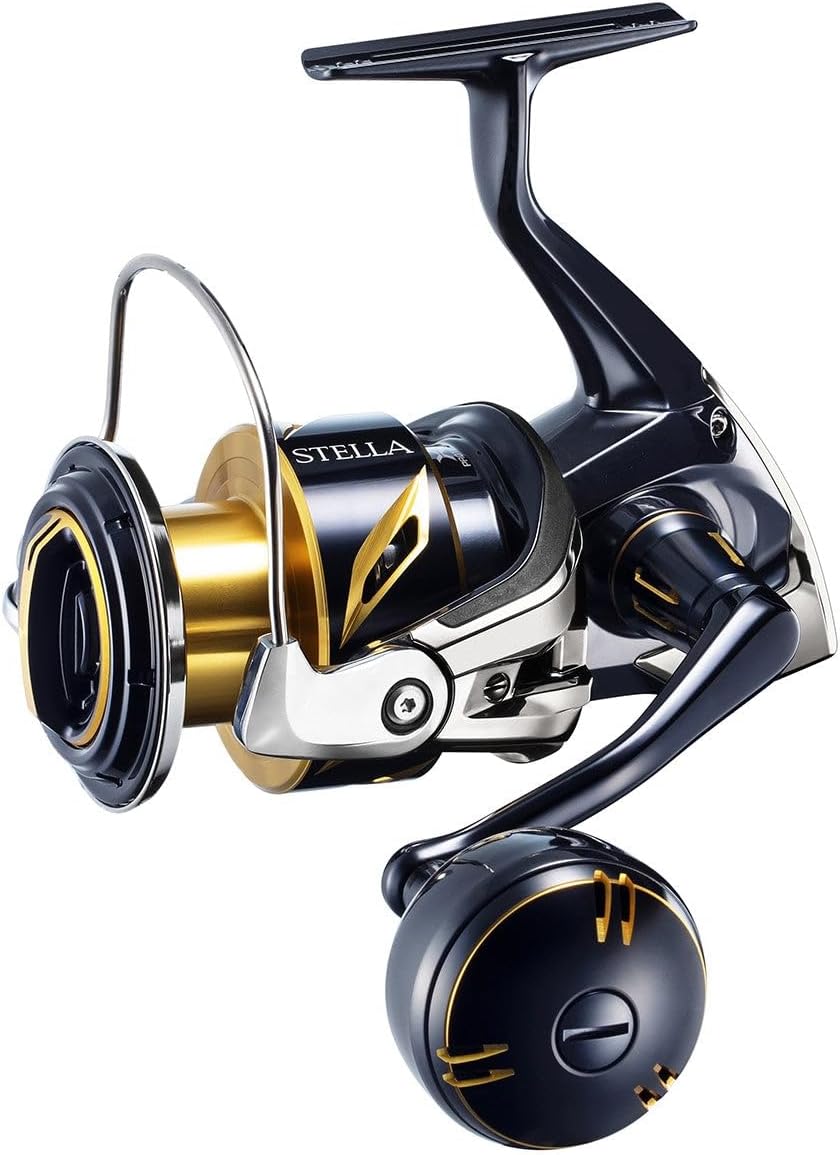 Shimano Stella 19 SW-C 8000PG