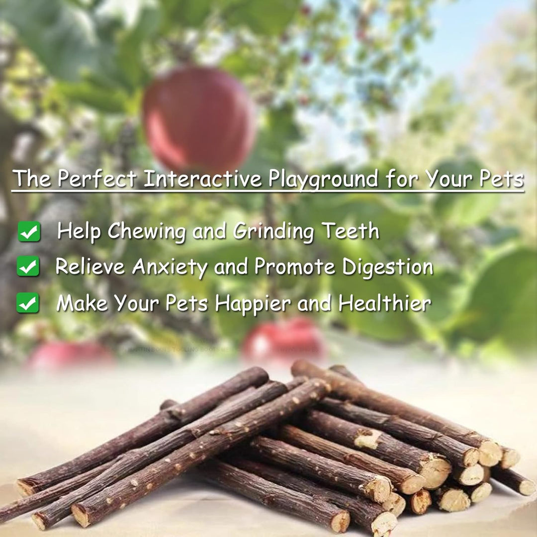 Hamster Spielzeug, Meerschweinchen Spielzeug, Kaninchen Zubehör, Kaninchen Spielzeug für Hamster Mee