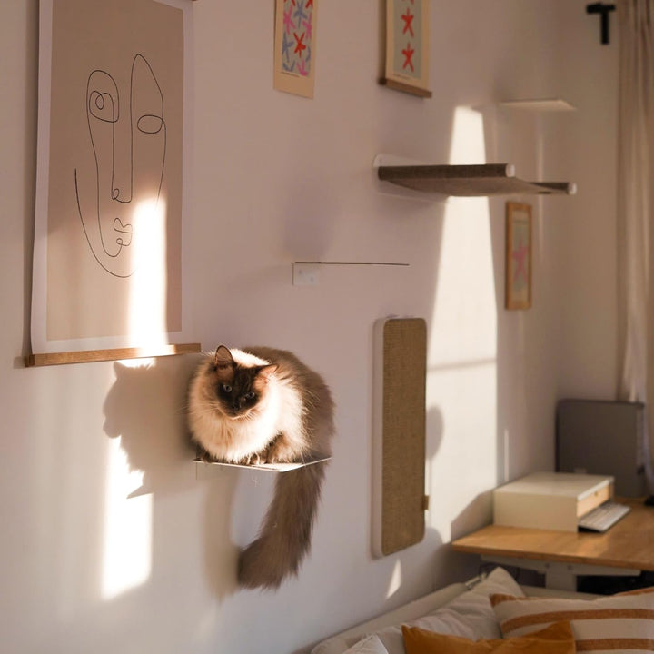 LucyBalu® STEPS XL Katzentreppe Wand Innen Aussen 3er Set | Katzen Kletterwand | Wandpark für Katzen