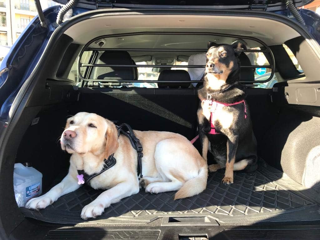 ERGOTECH Trenngitter Hundegitter RDA65HBG-S krn037, für Hunde und Gepäck. Sicher, garantiert!
