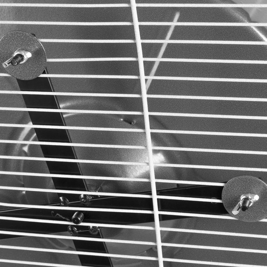 Montana Cages | Artgerechtes Metalllaufrad für Degus und Chinchillas | extra gross mit Ø 38cm