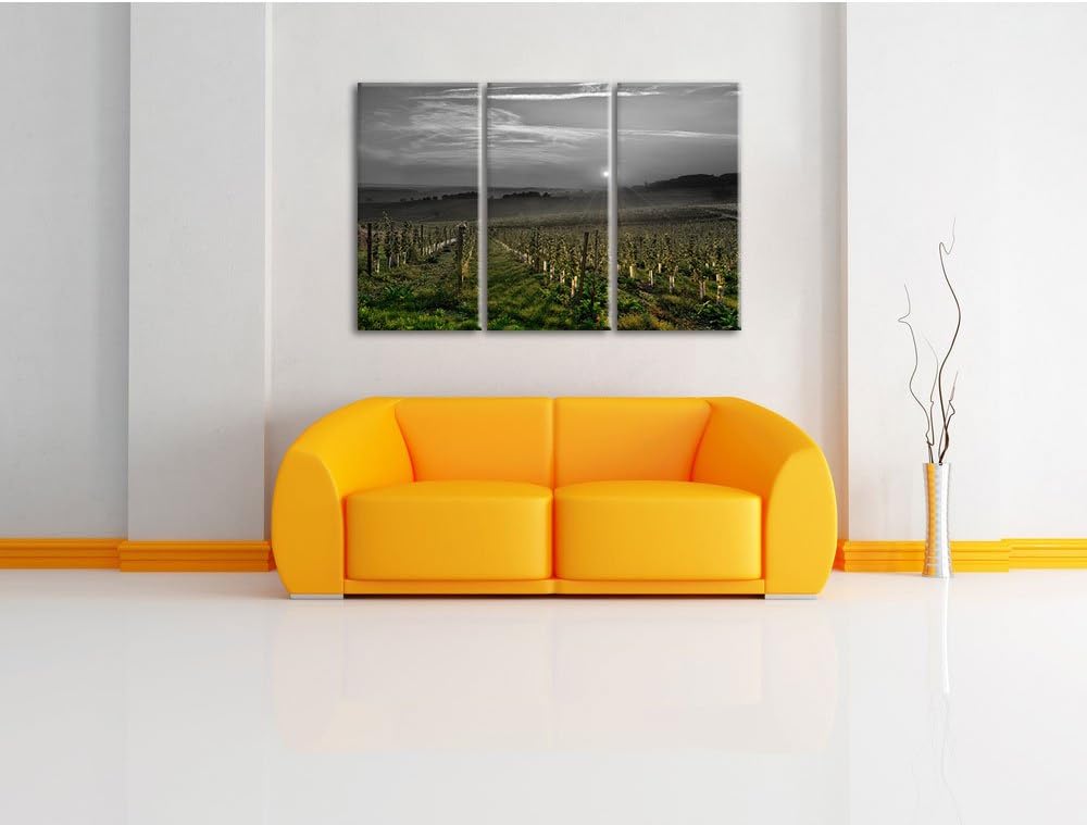 Pixxprint Weinberg in Bergerac Frankreich / 3-Teilig/Gesamtmass 120cm Leinwandbild bespannt auf Holz
