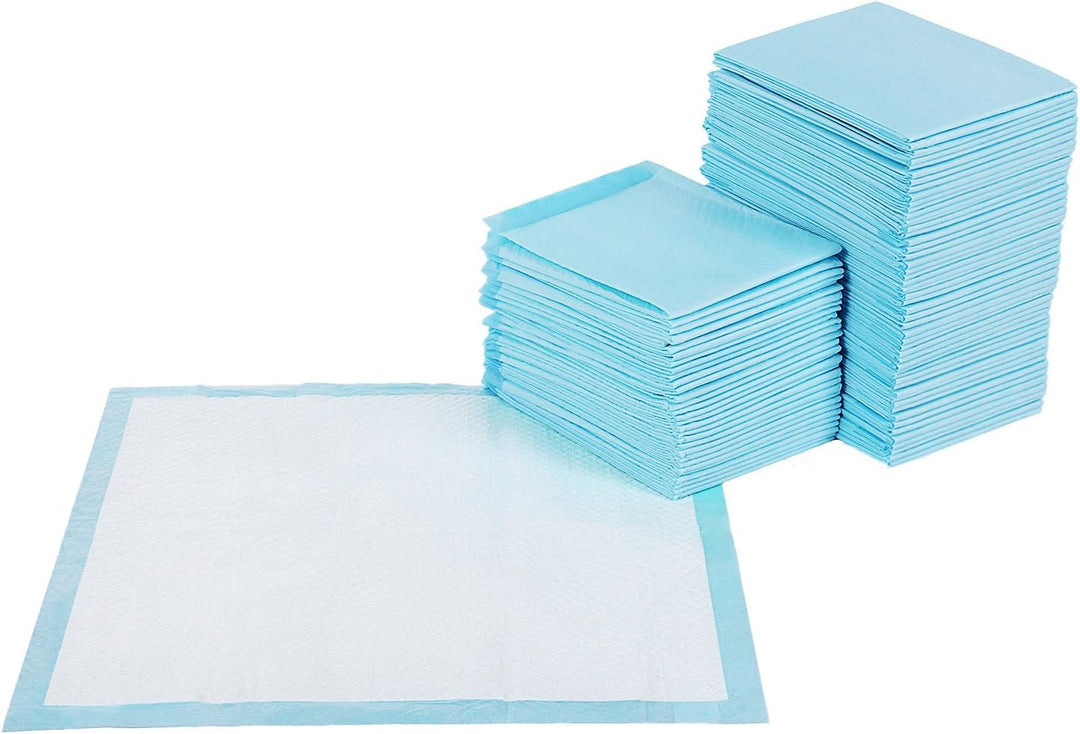 Feandrea Puppy Pads, Welpen-Unterlage, 60 x 60 cm, 100 Stück, blau-weiss PTD60B M (60 x 60 cm), M (6