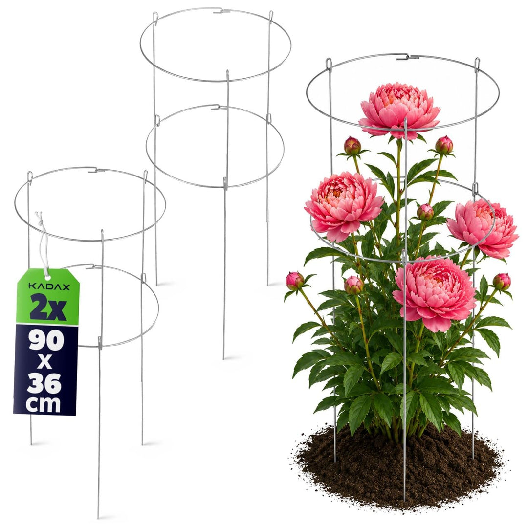 KADAX 2X Gartenstütze aus Stahl pulverbeschichtet Set, Pflanzehalter, Blumenstütze, Pflanzestütze, R