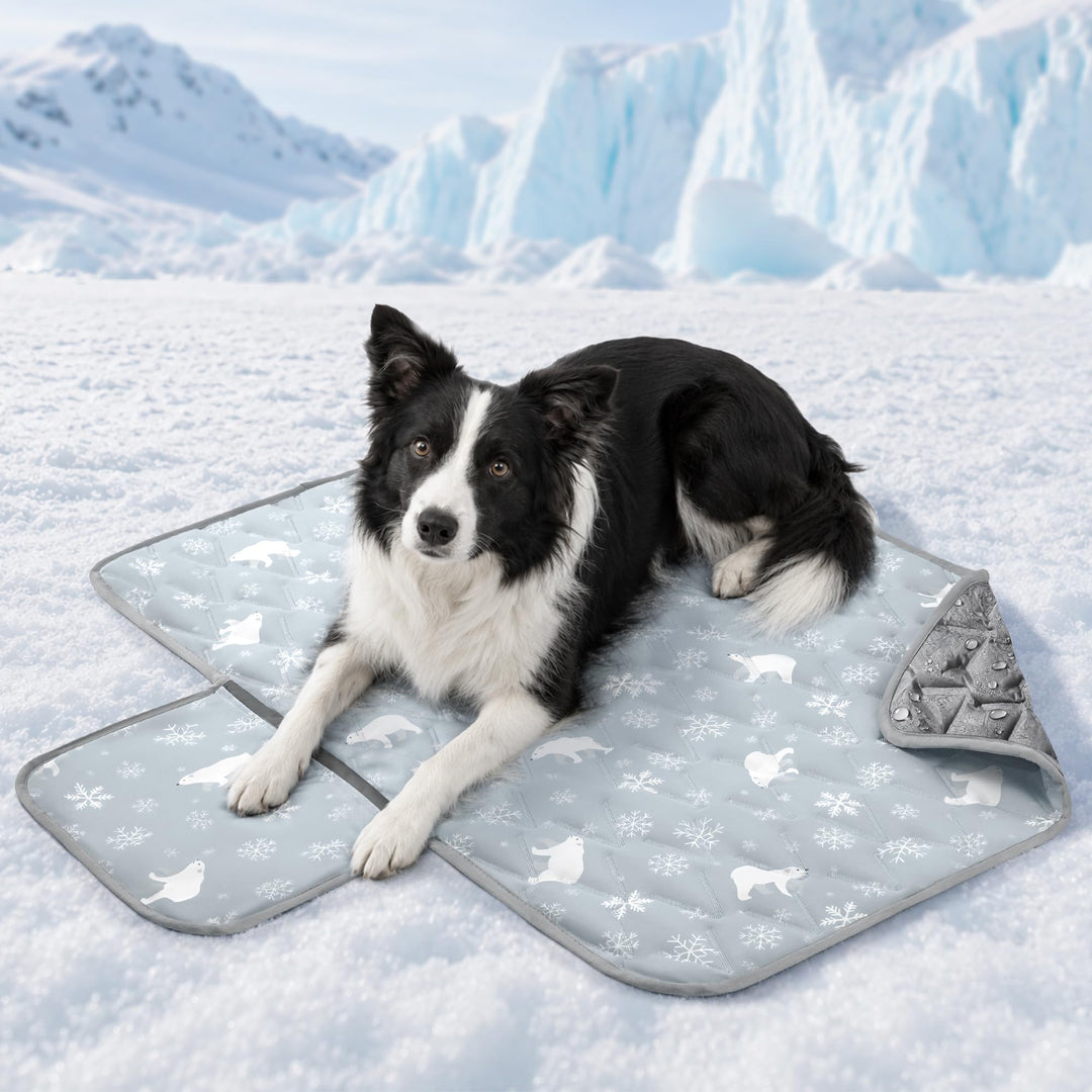 Angelpet Kühlmatte Hund 100x70cm, Q-MAX >0,5, Gel-freie selbstkühlende Kühldecke für mittlere Hunde