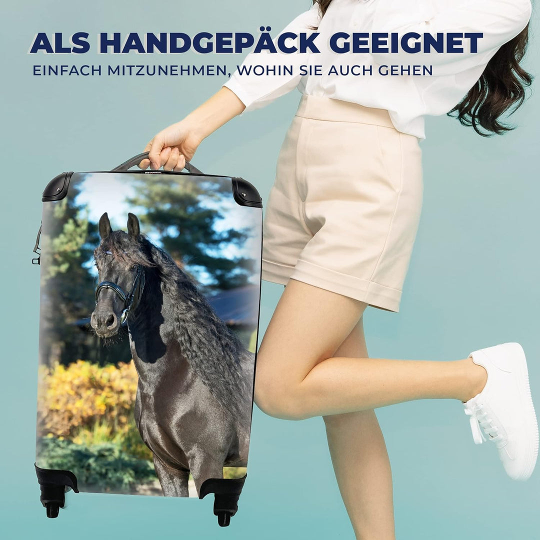 MuchoWow© Koffer Handgepäck Trolley Rollkoffer Kleine Reisekoffer mit 4 Rollen - Sonne - Friesisch -