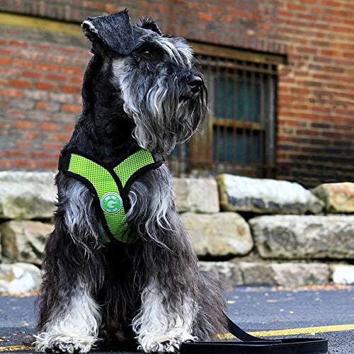 Gooby - Comfort X Step-In Hundegeschirr, erstickungsfrei, kleines Hundegeschirr mit Mikro-Wildlederb